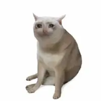 کش کت